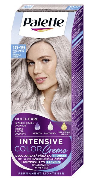 PALETTE ICC VOPSEA DE PAR 10-19 ARGINTIU RECE