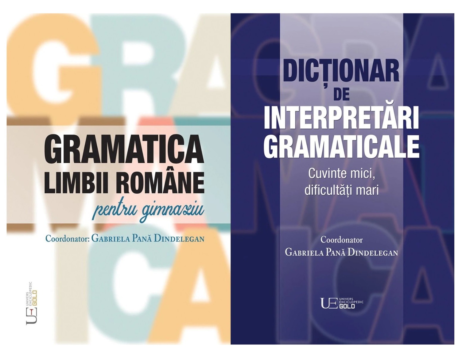 Pachet Gramatica limbii romane si Dictionar de interpretari gramaticale - Gabriela Pana Dindelegan (coord.)