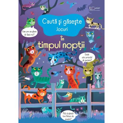 Cauta si gaseste. In timpul noptii Usborne - Usborne Books