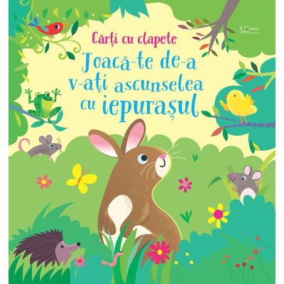 Joaca-te de-a v-ati ascunselea cu iepurasul Usborne - Usborne Books