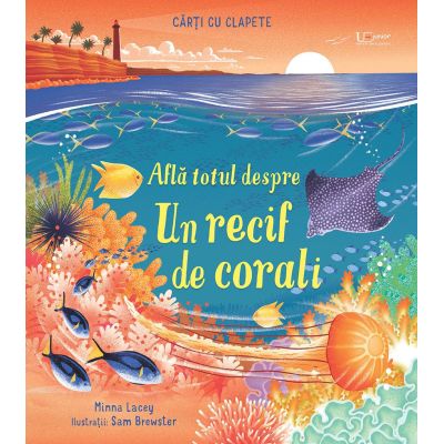 Afla totul despre un recif de corali Usborne - Usborne Books