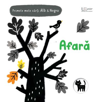 Primele mele carti AlbampNegru - Afara Usborne - Usborne Books