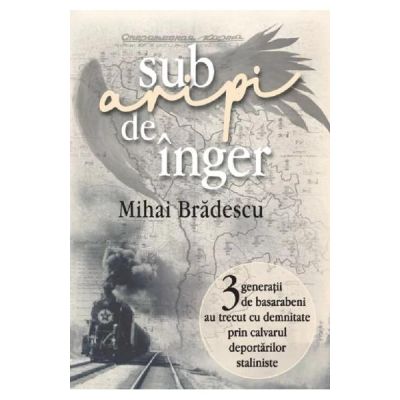 Sub aripi de inger - Mihai Bradescu