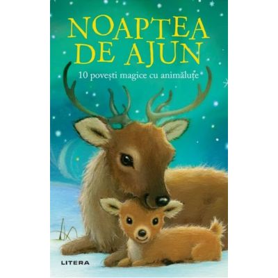 Noaptea de Ajun. 10 povesti magice cu animalute - Rachel Delahaye