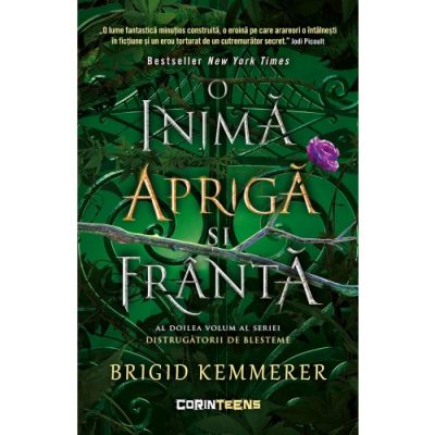 O inima apriga si franta vol. 2 din seria Distrugatorii de blesteme - Brigid Kemmerer