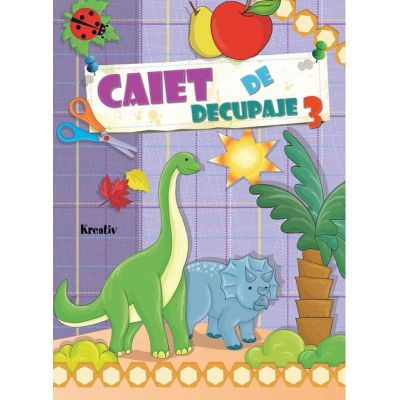 Caiet de decupaje 3