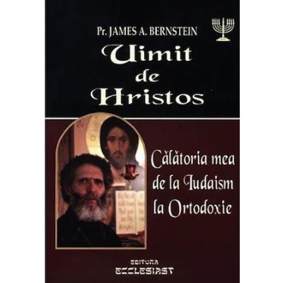 Uimit de Hristos - James A. Bernstein