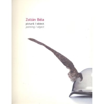 Pictura  Obiect - Painting  Object - Zoltan Bela