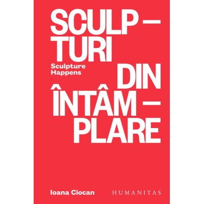 Sculpturi din intamplare. Sculpture Happens - Ioana Ciocan