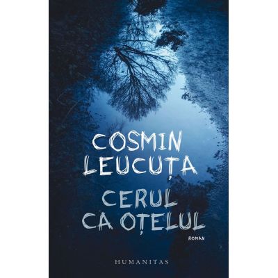 Cerul ca otelul - Cosmin Leucuta