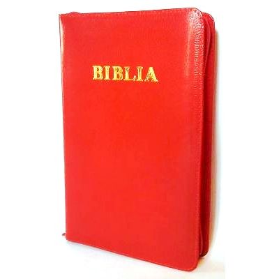 Biblia de studiu pentru copii. Coperta piele rosie LPI142