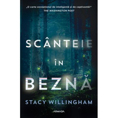 Scanteie in bezna - Stacy Willingham