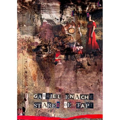 Starea de fapt - Gabriel Enache