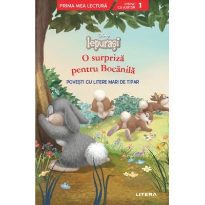 Disney Iepurasi. O surpriza pentru Bocanila. Povesti cu litere mari de tipar Nivelul 1