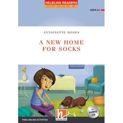 A New Home for Socks - Antoinette Moses