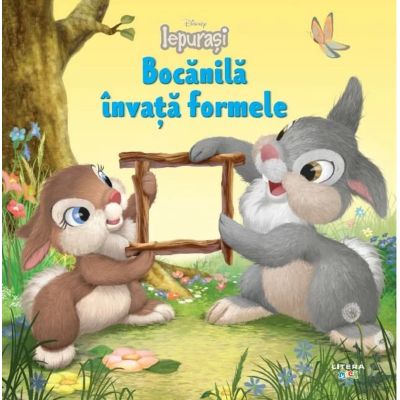 Disney Iepurasi. Bocanila invata formele