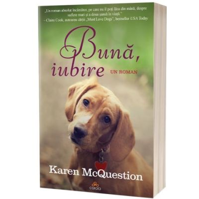 Buna iubire - Karen McQuestion