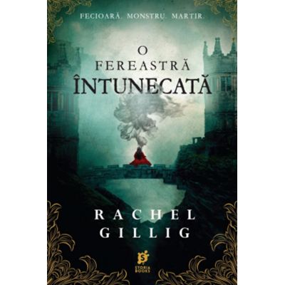 O fereastra intunecata - Rachel Gillig