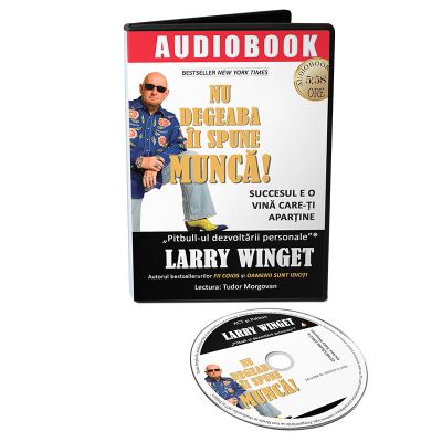 Audiobook. Nu degeaba ii spune munca Succesul e o vina care-ti apartine - Larry Winget