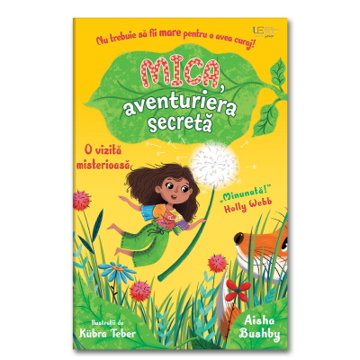 Mica aventuriera secreta o vizita misterioasa Usborne - Usborne Books