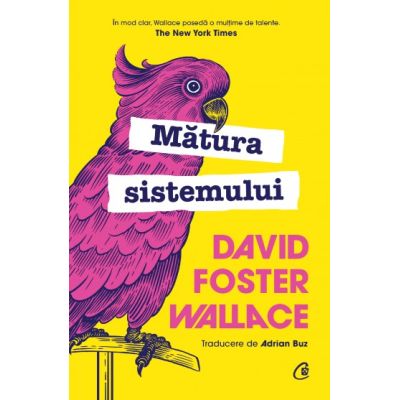 Matura sistemului - David Foster Wallace