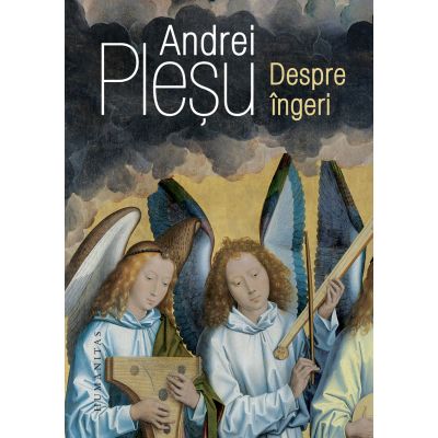 Despre ingeri - Andrei Plesu