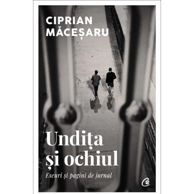 Undita si ochiul. Eseuri si pagini de jurnal - Ciprian Macesaru