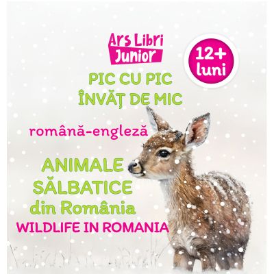 Pic cu pic invat de mic. Animale salbatice din Romania