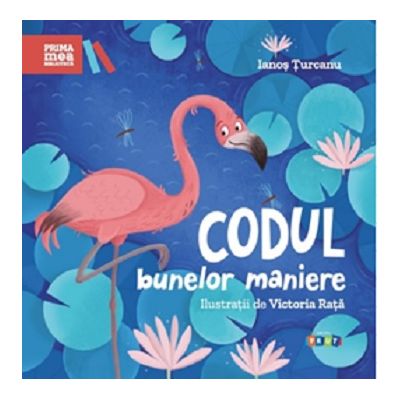 Codul bunelor maniere - Ianos Turcanu