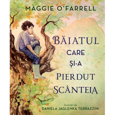 Baiatul care si-a pierdut scanteia - Maggie OFarrell