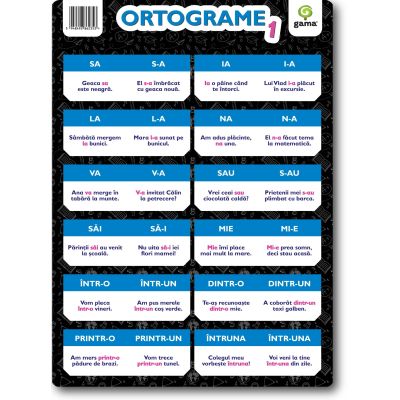 Poster Ortograme 1 A4