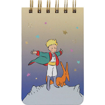 Carnet Le Petit Prince Renard Kiub