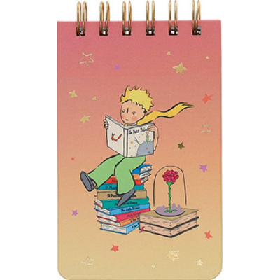 Carnet Le Petit Prince Degrade Kiub