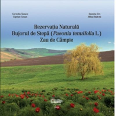 Rezervatia Naturala Bujorul de Stepa Paeonia tenuifolia L.. Zau de Campie - Corneliu Tanase