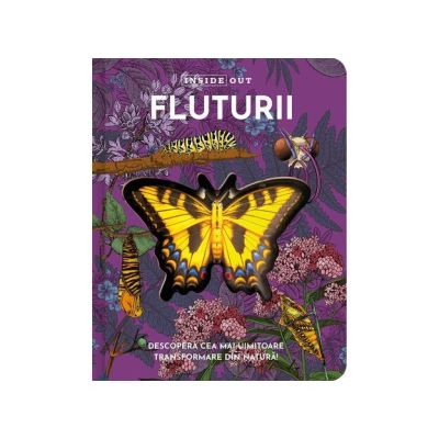Fluturii model 3D