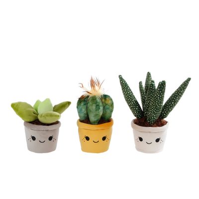 Jucarie de plus, Cactus in ghiveci, 19 - 27 cm
