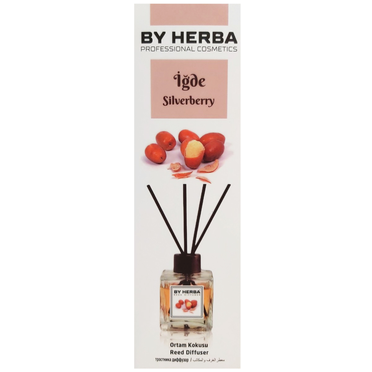 BY HERBA DIFFUSER ODORIZANT CAMERA SILVERBERRY 120ML