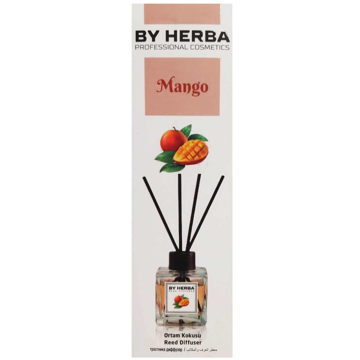 BY HERBA DIFFUSER ODORIZANT CAMERA MANGO 120ML