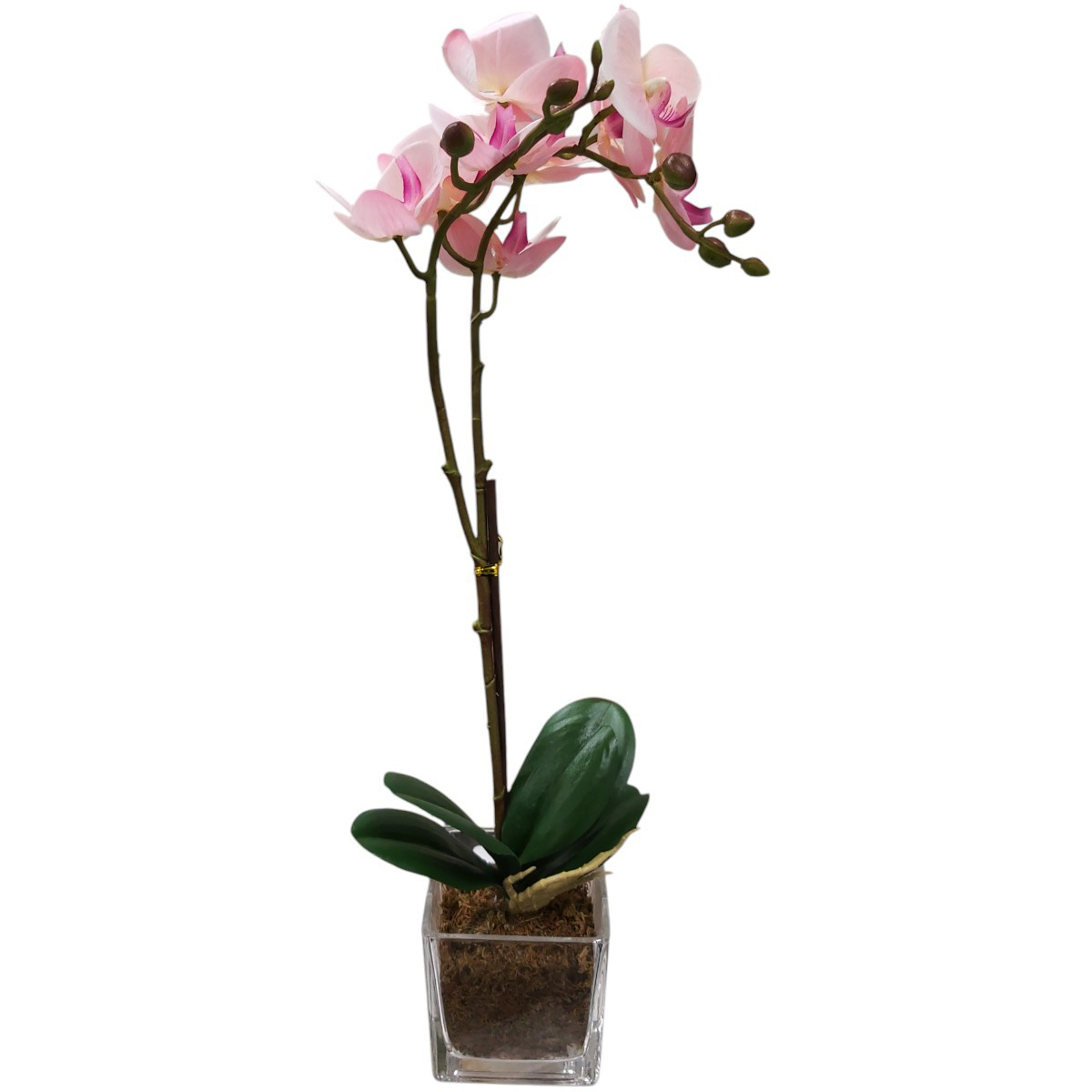 ORHIDEE ARTIFICIALA IN GHIVECI 49CM X25