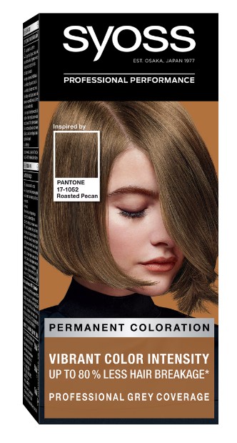 SYOSS COLOR VOPSEA DE PAR 6-66 NUCA PRAJITA