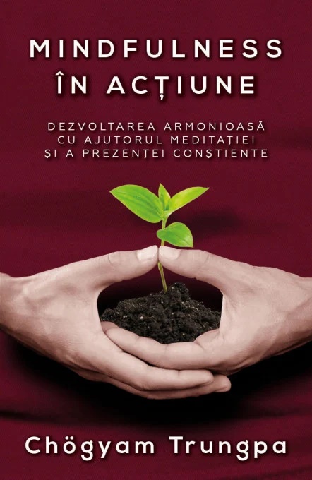 Mindfulness in actiune. Dezvoltarea armonioasa cu ajutorul meditatiei si a prezentei constiente - Chogyam Trungpa