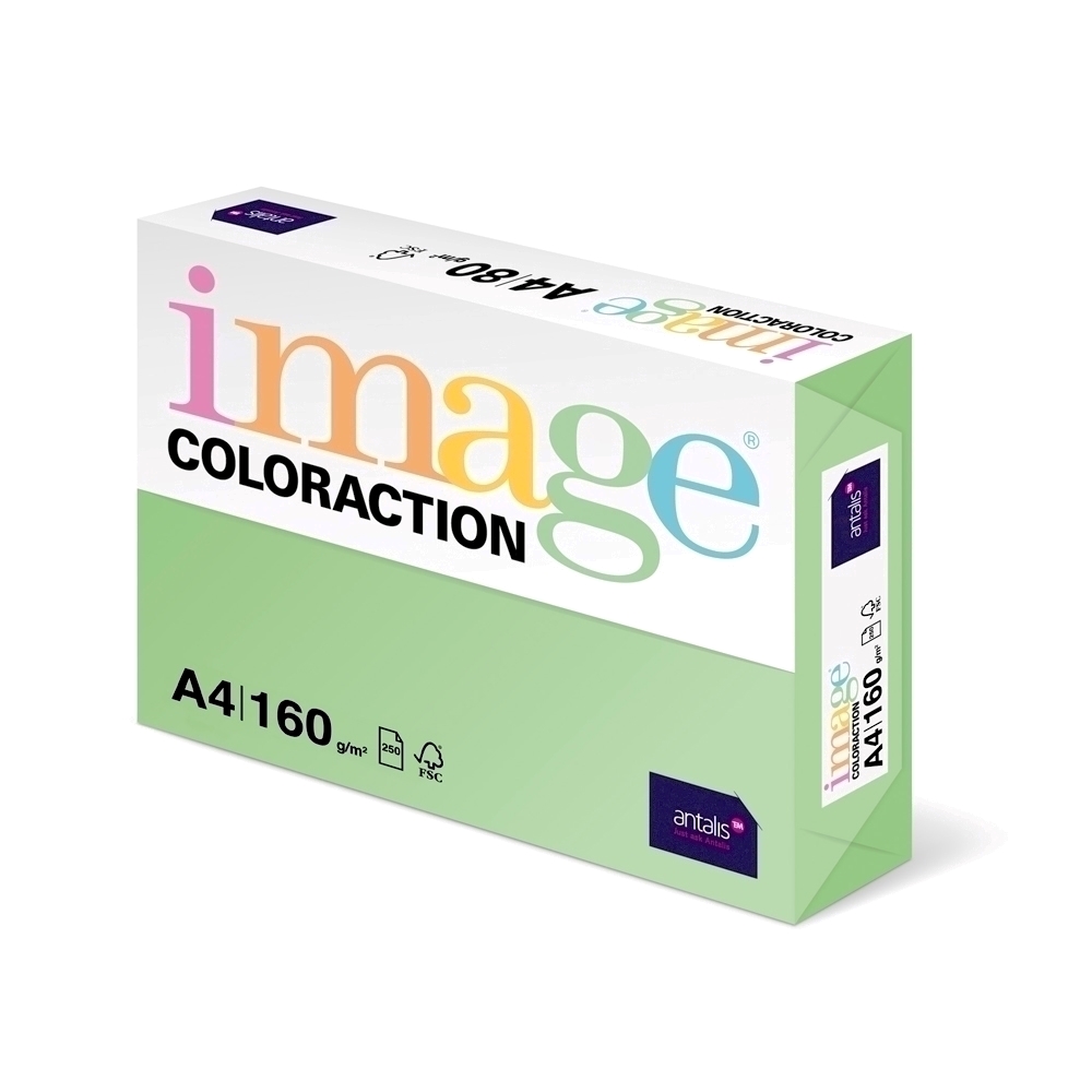 Carton color Coloraction, A4, 160 g/mp, verde padure-Forest, 250 coli/top