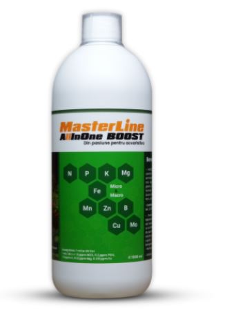 Masterline All in One Boost, 1000 ml