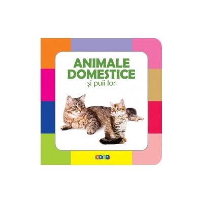 Animale domestice si puii lor