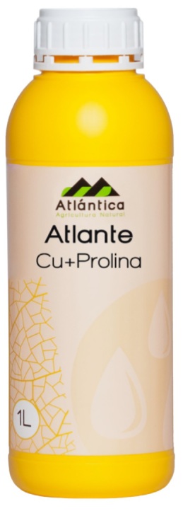 Fertilizant Atlante Cu ProLine, 1 L, Atlantica