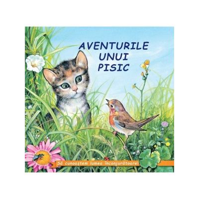 Aventurile unui pisic. sa cunoastem lumea inconjuratoare!