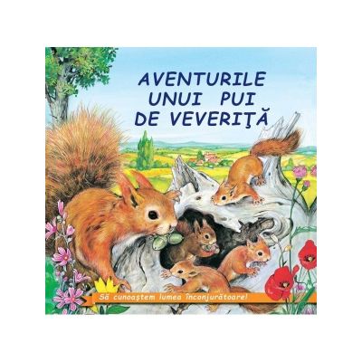 Aventurile unui pui de veverita. Sa cunoastem lumea inconjuratoare!