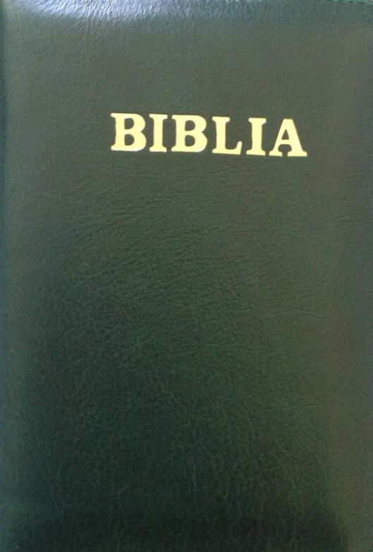 Biblia de studiu pentru copii. Coperta piele bleumarin, LPI143