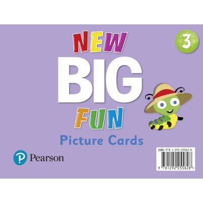 Big Fun Refresh Level 3 Picture Cards