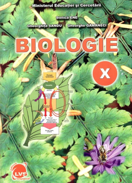 Manual Biologie pentru clasa a 10-a - Stelica Ene